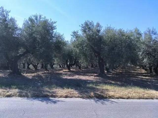 Terreno in vendita a Pianella, Abruzzo