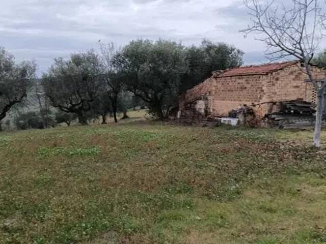 Terreno in vendita a Moscufo, Abruzzo