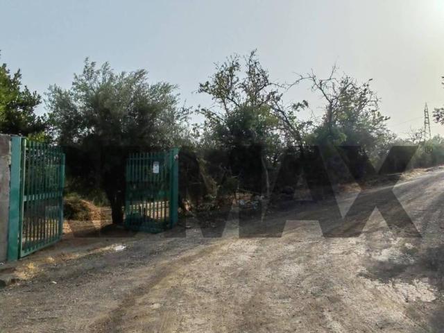 Terreno in vendita a Motta Sant'anastasia, Sicilia