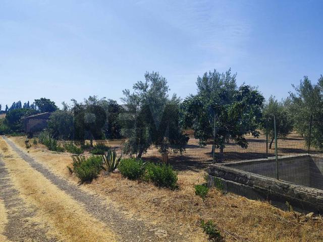 Terreno in vendita a Motta Sant'anastasia, Sicilia