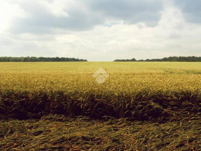 Terreno in vendita a Casorate Primo, Lombardia