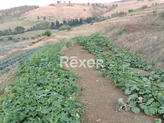 Terreno in vendita a Puglia, Taranto