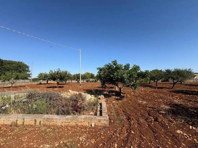 Terreno in vendita a Puglia, Taranto