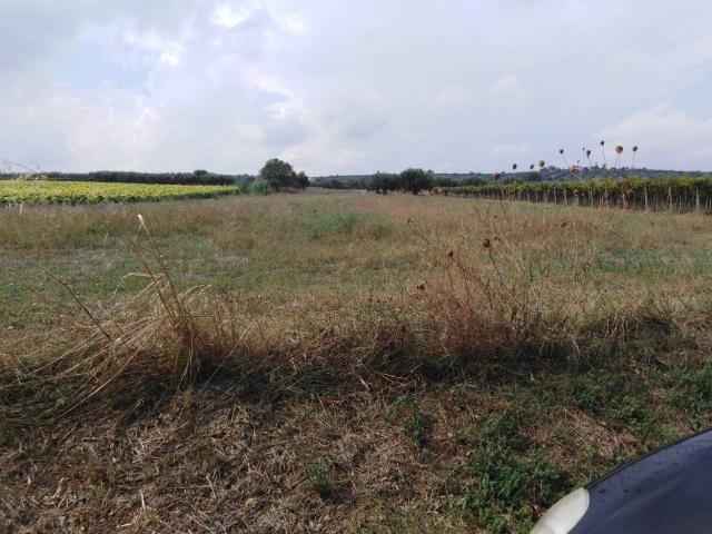 Terreno in vendita a Mozzagrogna, Abruzzo
