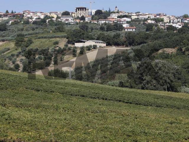 Terreno in vendita a Mozzagrogna, Abruzzo