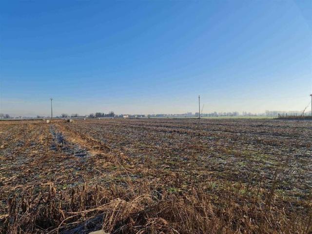 Terreno in vendita a Mozzecane, Veneto