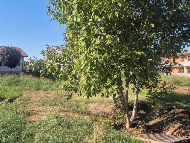 Terreno in vendita a Mozzecane, Verona