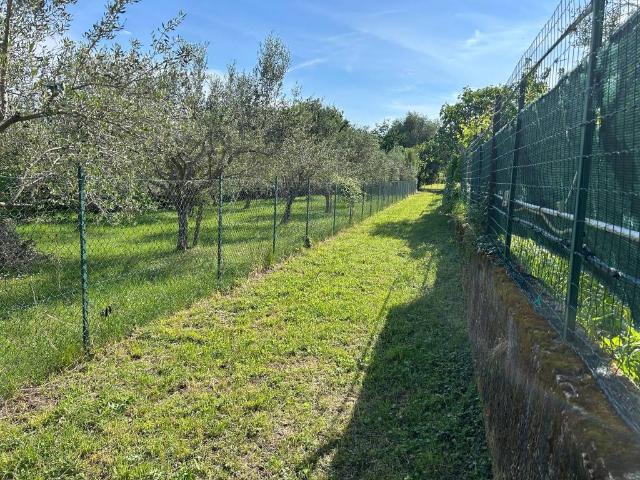Terreno in vendita a Muggiò, Friuli-Venezia Giulia