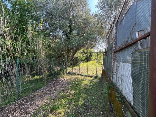 Terreno in vendita a Muggiò, Friuli-Venezia Giulia
