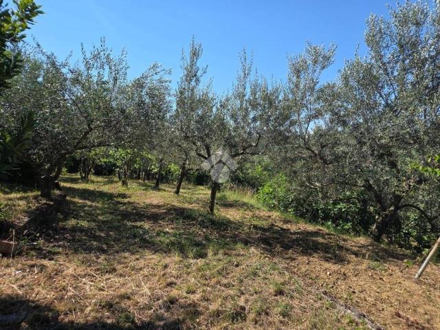 Terreno in vendita a Santa Barbara / Korošci, Muggiò