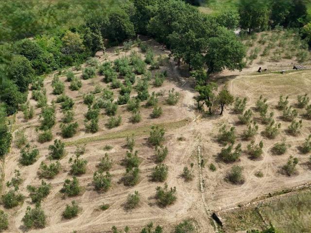 Terreno in vendita a Pisciolon, Muggiò