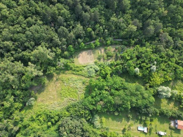Terreno in vendita a Vignano / Vinjan, Muggiò