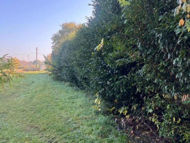 Terreno in vendita a Muggiò, Lombardia
