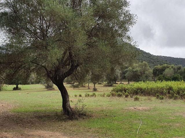 Terreno in vendita a Murera/Muravera, Casteddu/Cagliari