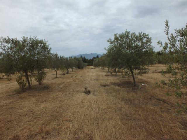 Terreno in vendita a Muravera, Sardigna/Sardegna