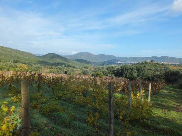 Terreno in vendita a Muravera, Sardigna/Sardegna