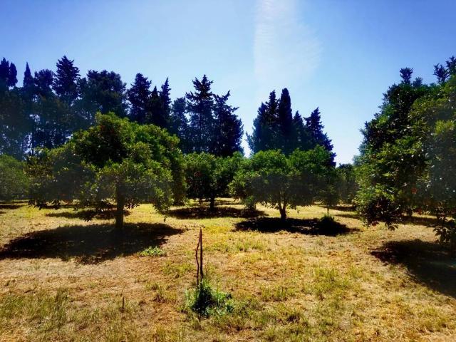 Terreno in vendita a Muravera, Sardigna/Sardegna