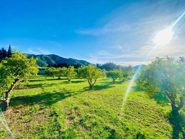 Terreno in vendita a Muravera, Sardigna/Sardegna