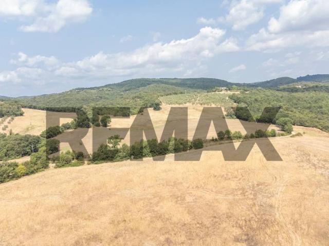 Terreno in vendita a Pòmpana, Murlo