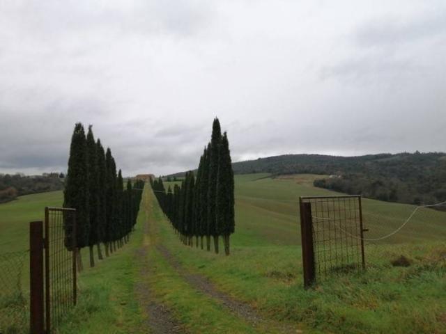 Terreno in vendita a Vescovado, Murlo