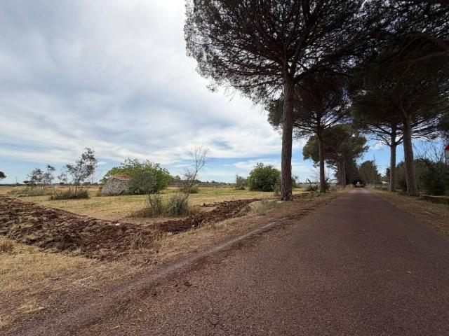 Terreno in vendita a Puglia, Lecce