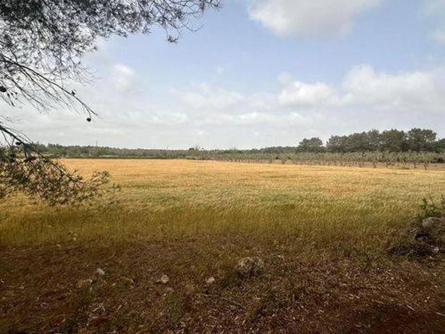 Terreno in vendita a Puglia, Lecce