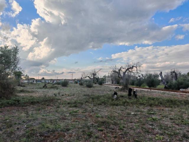 Terreno in vendita a Puglia, Lecce