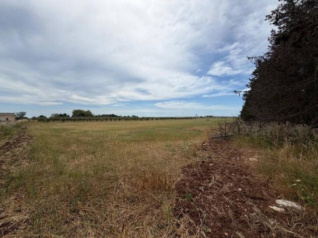 Terreno in vendita a Puglia, Lecce