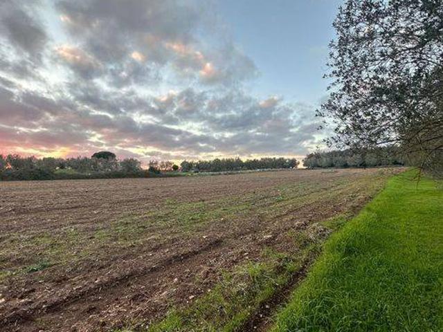 Terreno in vendita a Puglia, Lecce