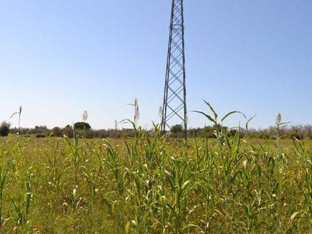 Terreno in vendita a Puglia, Lecce