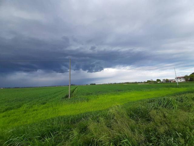 Terreno in vendita a Musile Di Piave, Veneto