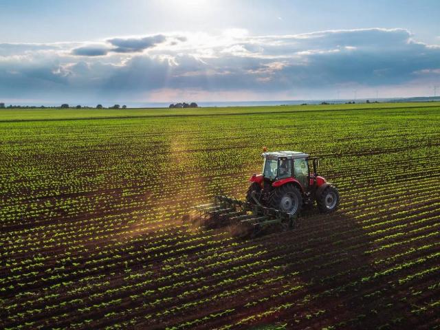 Terreno in vendita a Mussolente, Veneto