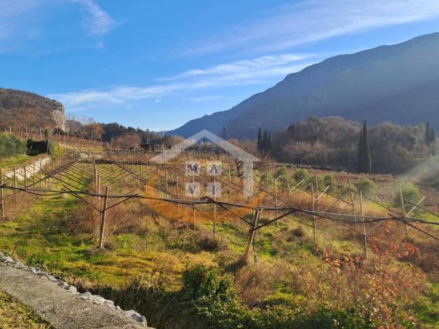 Terreno in vendita a Comunità Alto Garda e Ledro, Nago