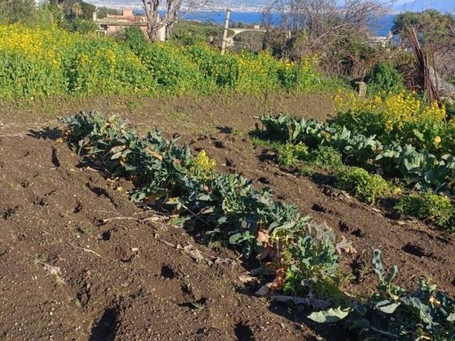Terreno in vendita a Coroglio, Campania