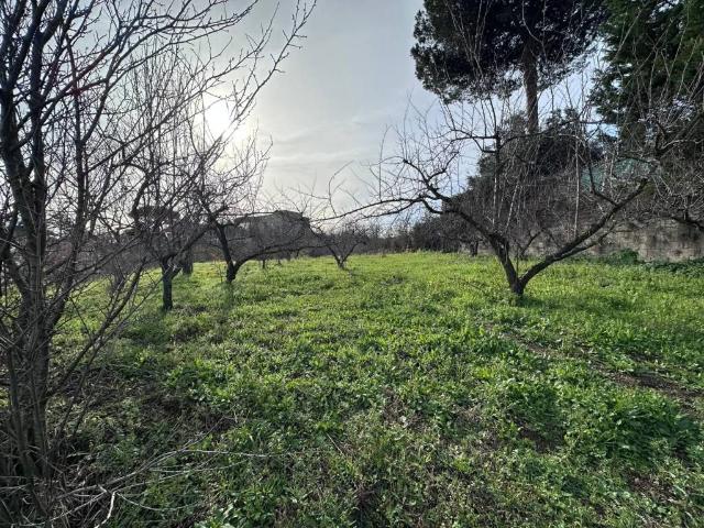 Terreno in vendita a Paratina, Campania