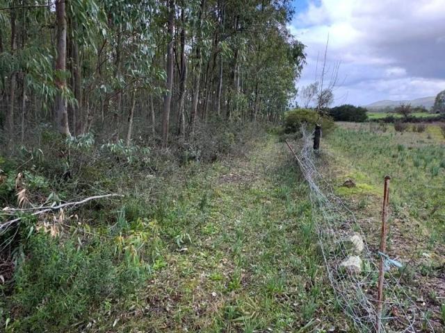Terreno in vendita a Narcao, Sardigna/Sardegna