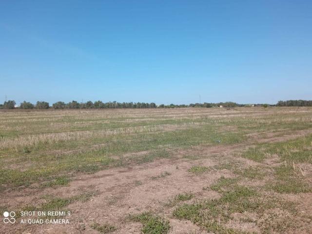 Terreno in vendita a Puglia, Lecce