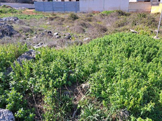 Terreno in vendita a Puglia, Lecce
