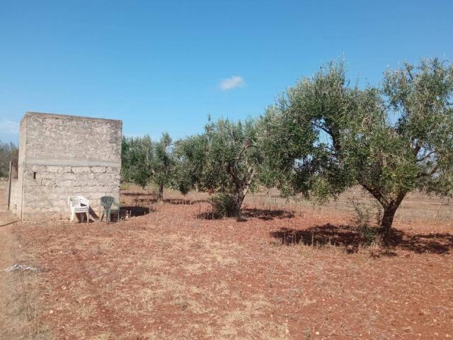 Terreno in vendita a Puglia, Lecce