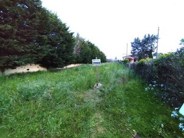 Terreno in vendita a Contrada Campo dei Fiori, Puglia