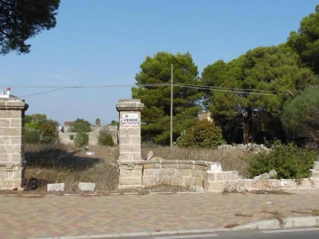Terreno in vendita a Contrada Campo dei Fiori, Puglia