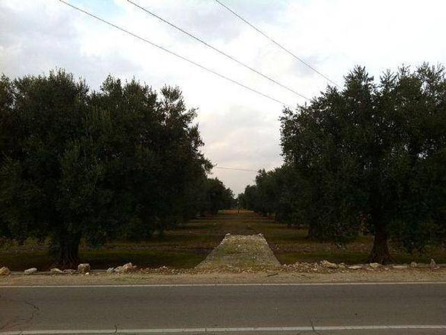 Terreno in vendita a Puglia, Lecce