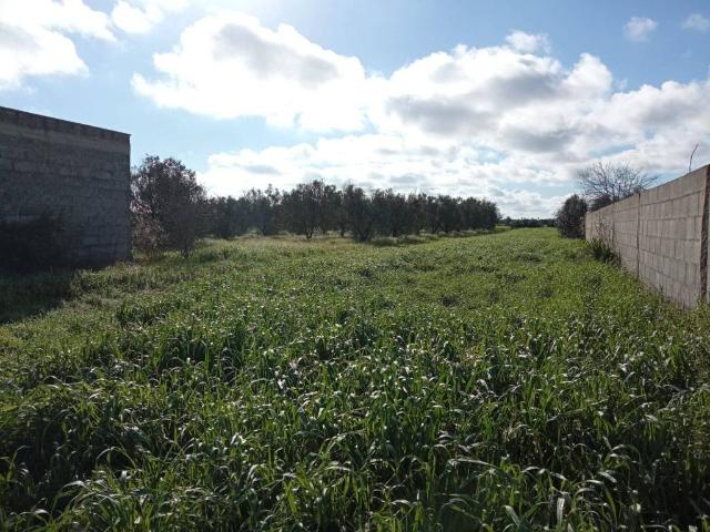 Terreno in vendita a Puglia, Lecce