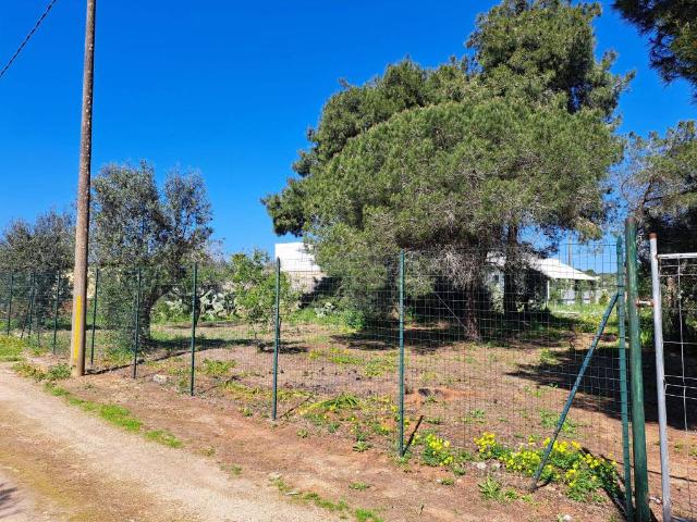 Terreno in vendita a Rione Bentivenga, Puglia