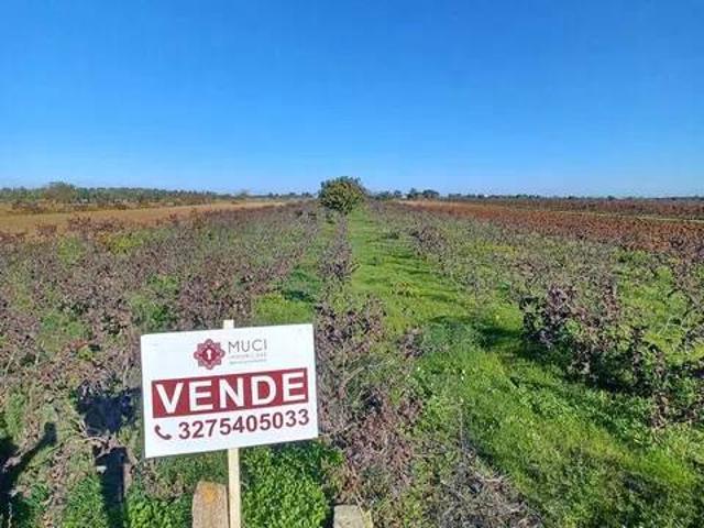 Terreno in vendita a Nardò, Lecce