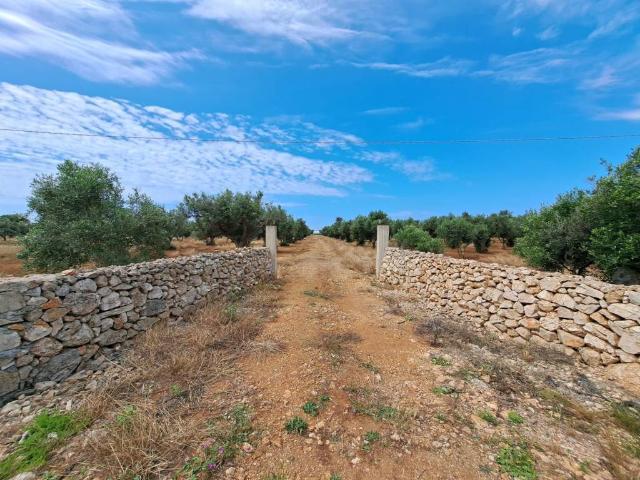 Terreno in vendita a Puglia, Lecce