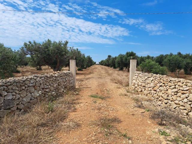 Terreno in vendita a Puglia, Lecce