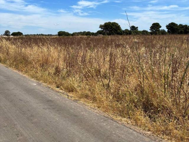 Terreno in vendita a Puglia, Lecce