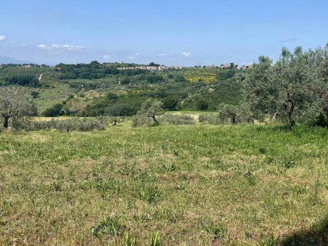 Terreno in vendita a Narni, Umbria