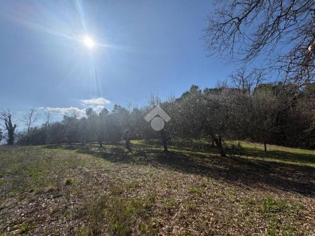 Terreno in vendita a Narni, Umbria